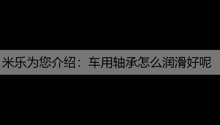 车用轴承怎么润滑好呢